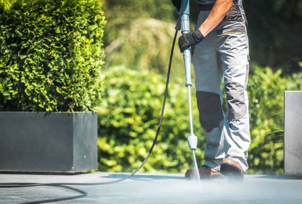 Best Soft Washing  in Stone Ridge, NY